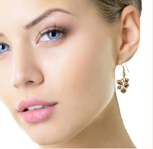 Bronze DANGLE Earrings